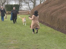 Lady runs towards her dog that she is being reunited with