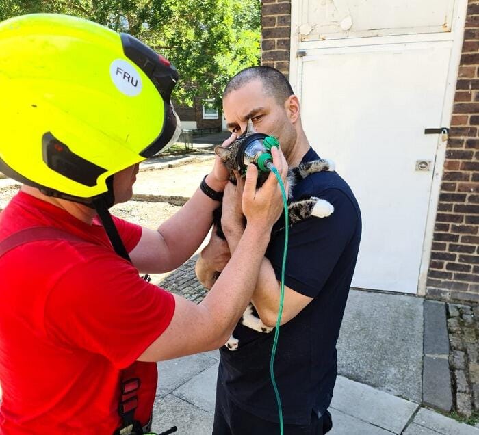 Cat’s Life Saved With Animal Oxygen Mask