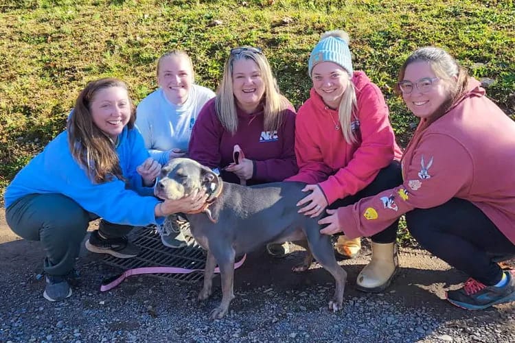Ella the rescue dog staying goodbye to shelter staff after 7 years