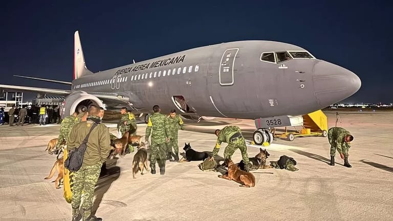 Mexico search and rescue dogs travel to Turkey and Syria to help with Earthquake recovery
