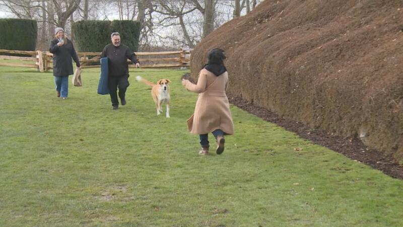 Lady runs towards her dog that she is being reunited with