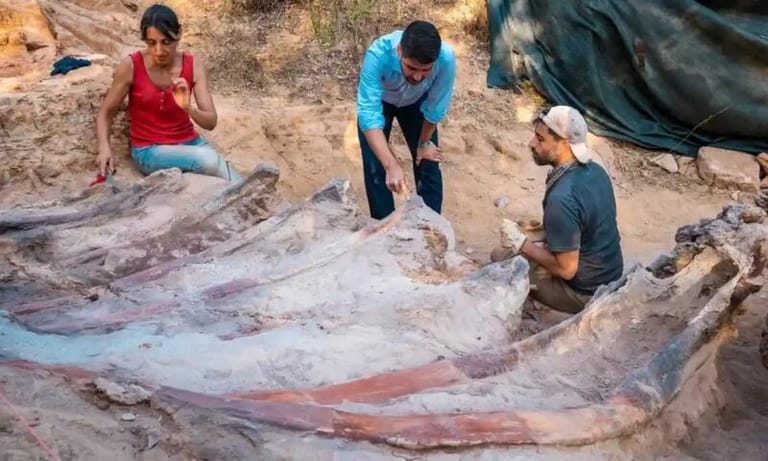 Huge Fossil Of Dinosaur May Be The Largest Found In Europe