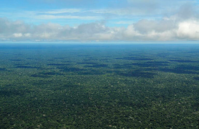 End To Amazon Deforestation: Eco Activist To Become The Environment Minister In Brazil