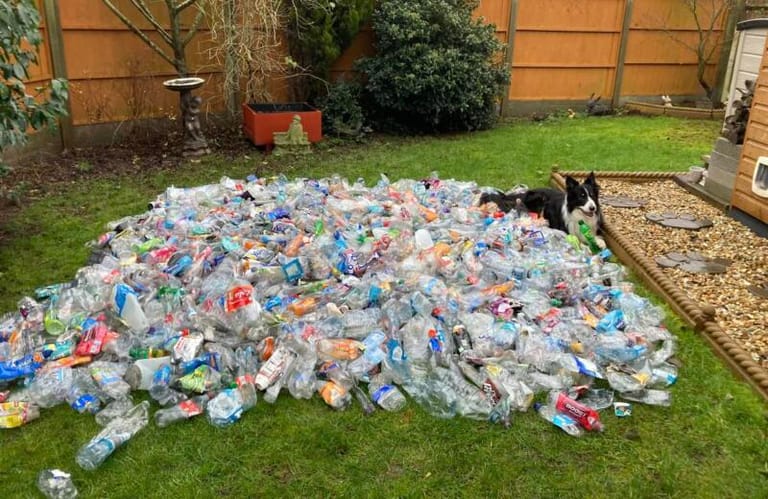 Dog Recycling: Border Collie Finds and Collects Plastic