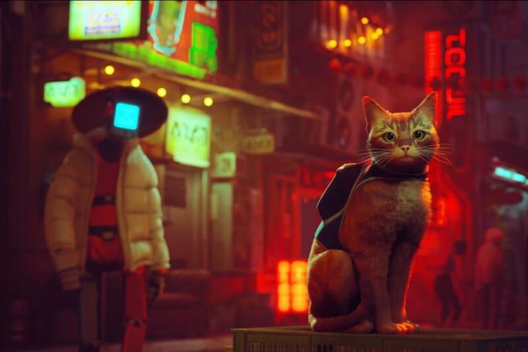 Video Game Developer Behind ‘Stray’ Helps Raise Money For Homeless Cats