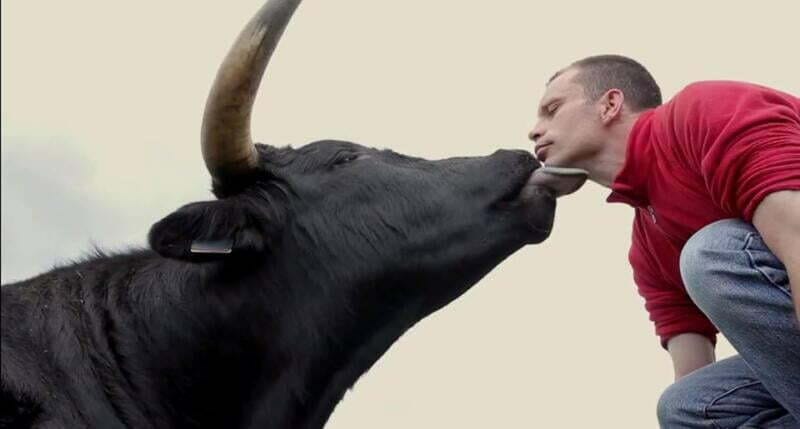 Christophe Thomas with his rescued bull Fadjen