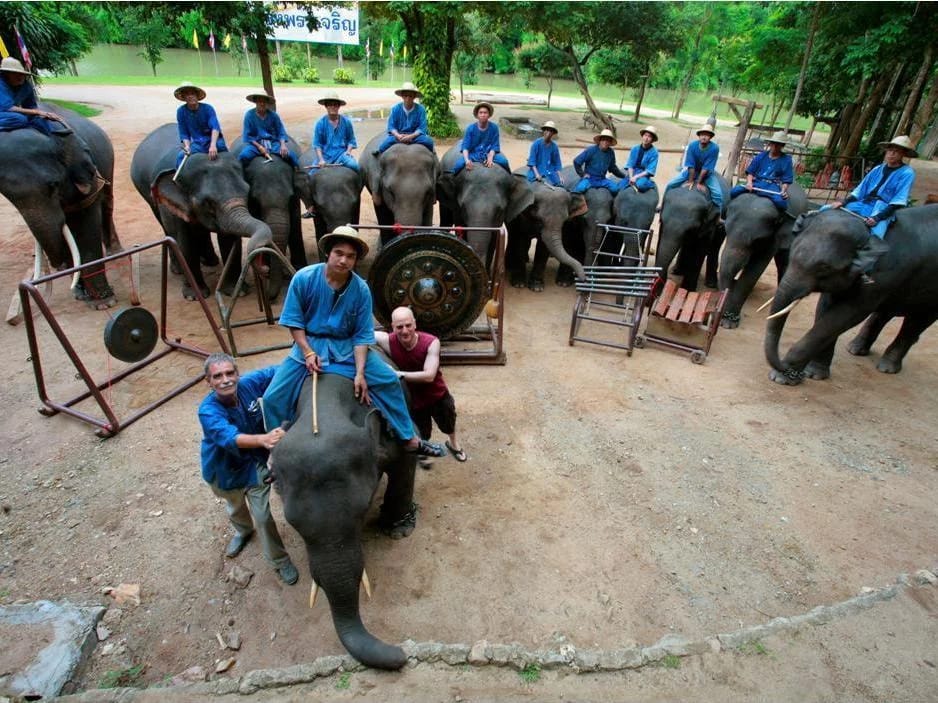 Meet the man who plays the piano for rescue elephants