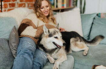 Short coated dog lying on sofa with a woman