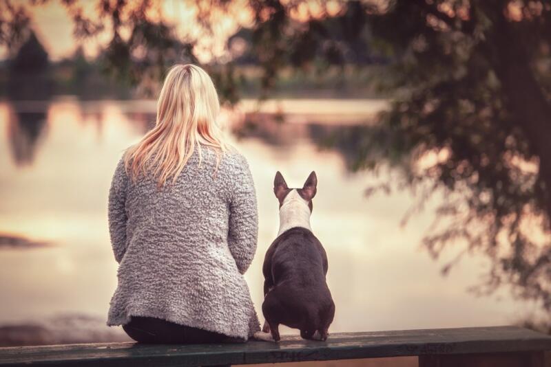 Pet ownership increases lifespan and mental wellness