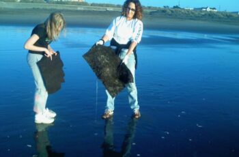 Volunteers cleaning up Oil Spills with hair mats