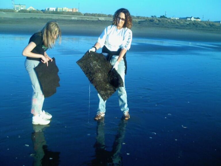 Volunteers cleaning up Oil Spills with hair mats