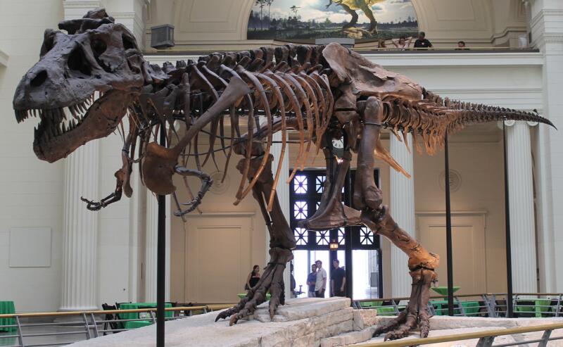 Total Eclipse, T-Rex Skeleton Found & More Good News in History For The Week August 8-14