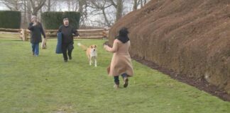 Woman who escaped Afghanistan is reunited with her dog one year later in Canada Lady runs towards her dog that she is being reunited with