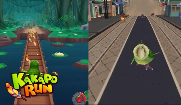 Video game Kakapo Run