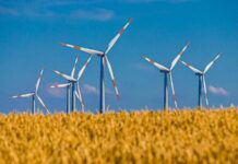 Wind energy surpasses gas in electricity generation in the European Union in 2023 Image of wind generating windmills in a field