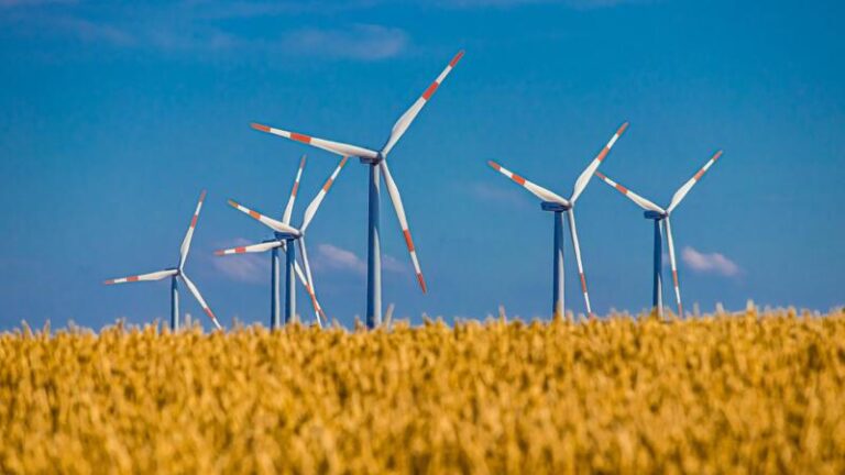 Image of wind generating windmills in a field