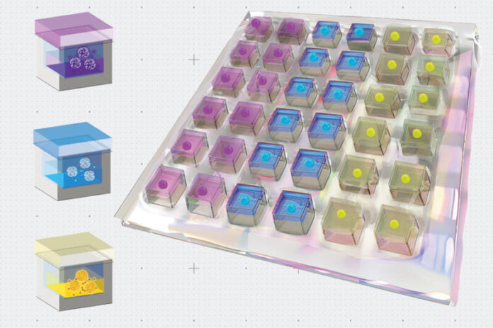 Assay for a A Smart Patch That Could Help Heal Hearts After Attack - Source MIT